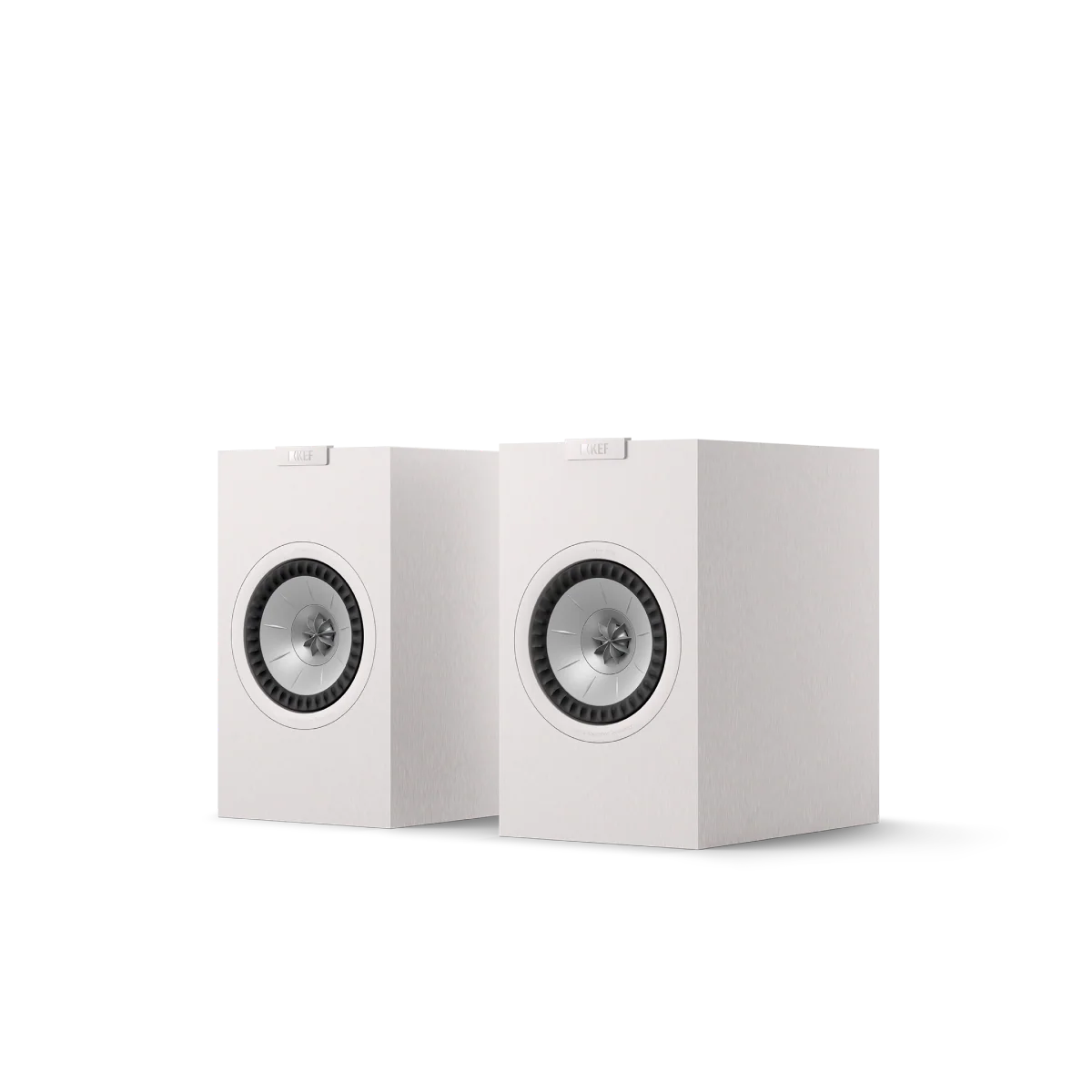 Miniatuur 6