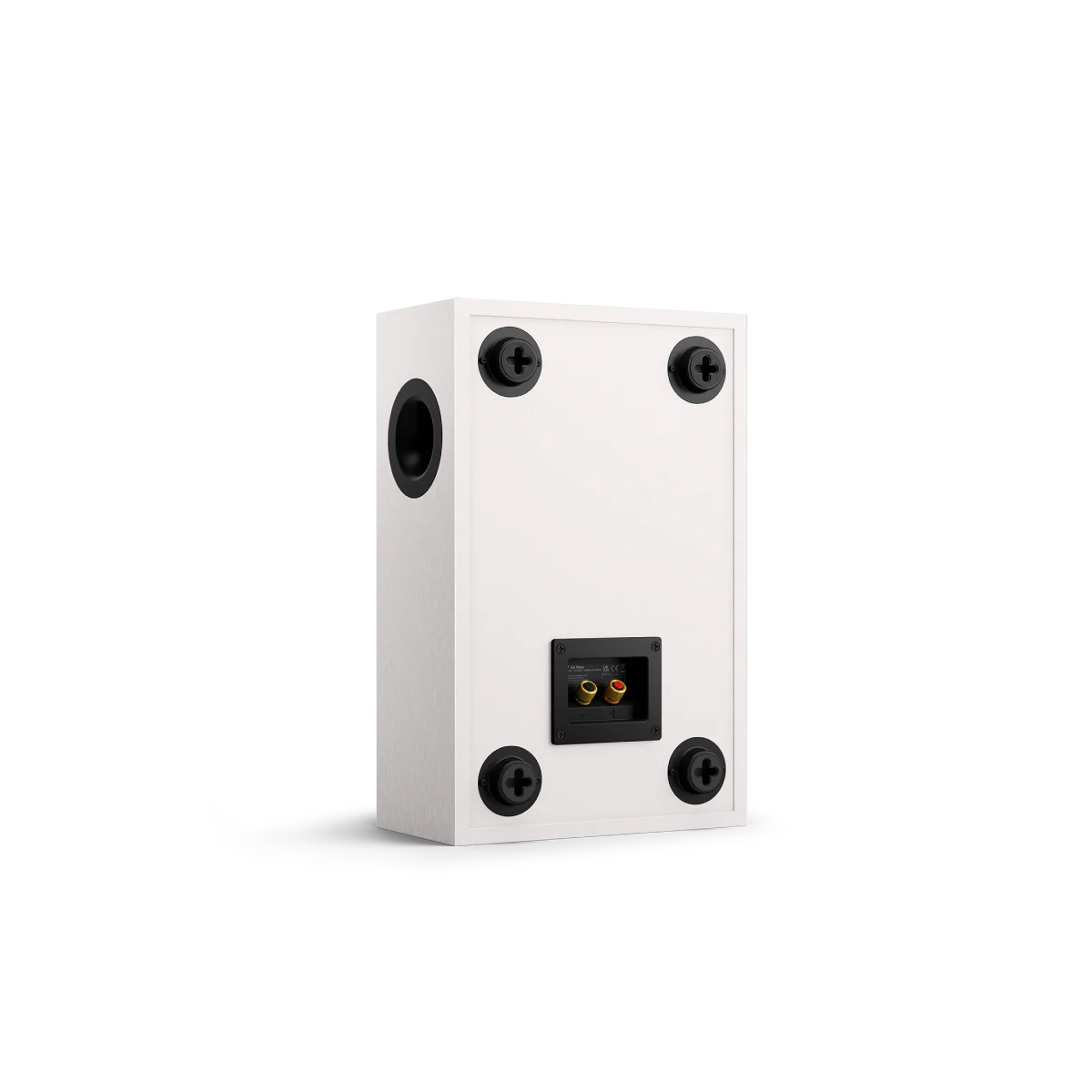 Miniatuur 4